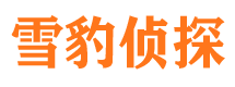 宿州市婚姻调查